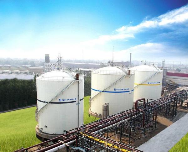 1491025705651855.jpg 0b096bc7541144948ea1e915f237c221_th.jpg