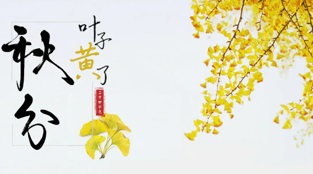 泸州三源化机 泸州三源化机