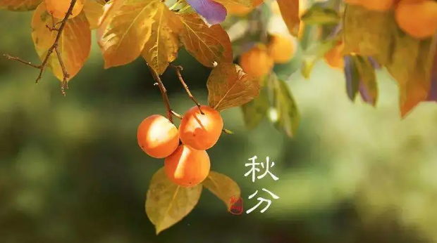 三源化机 三源化机